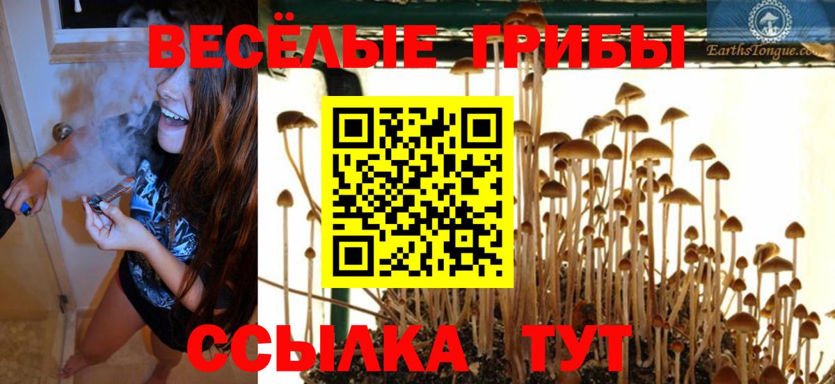 Ивантеевка  Галлюциногенные грибы прущие грибы  Вход с VPN 